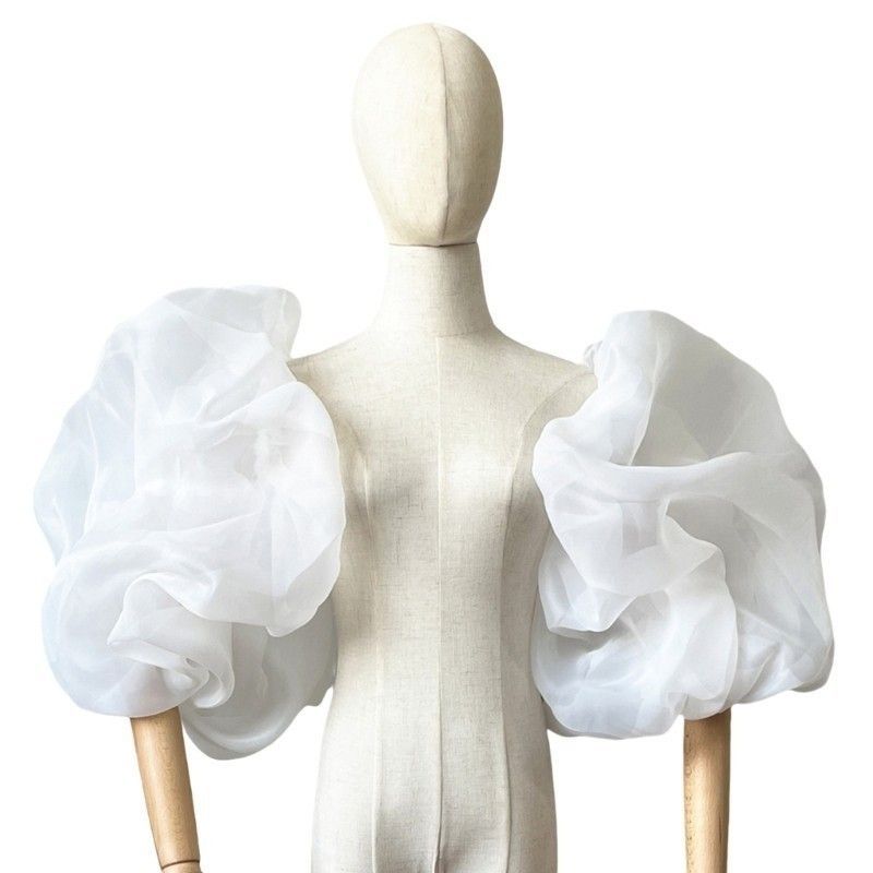 Photography Vintage - Women's Elegant Designer Puff Organza Arm