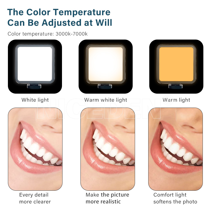 Niceden Dental portable Flash  - Photography Dental recension och pris