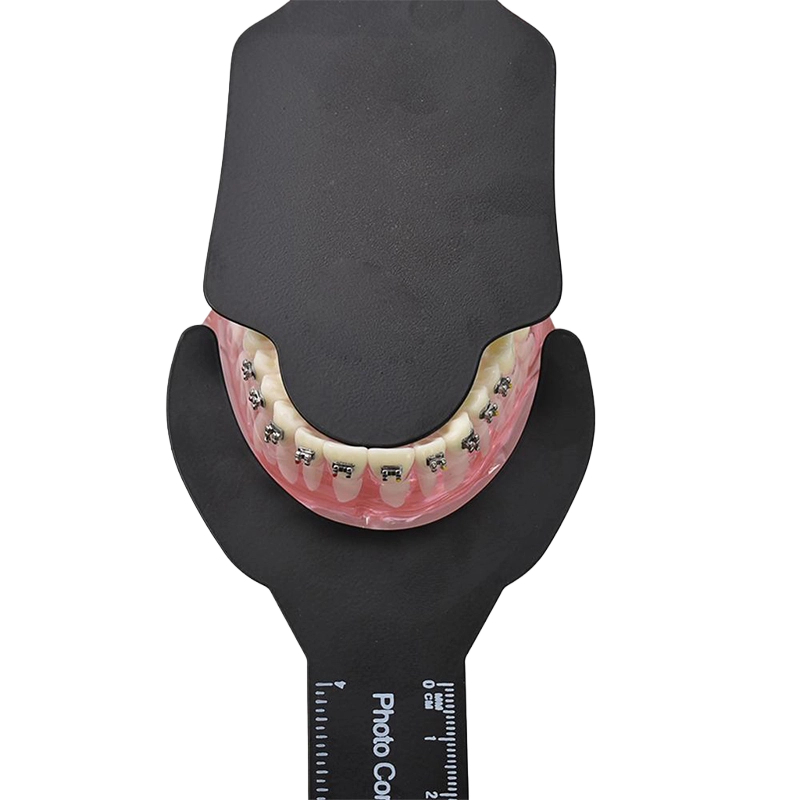 Dental Photography dentistry P - Photography Dental recension och pris