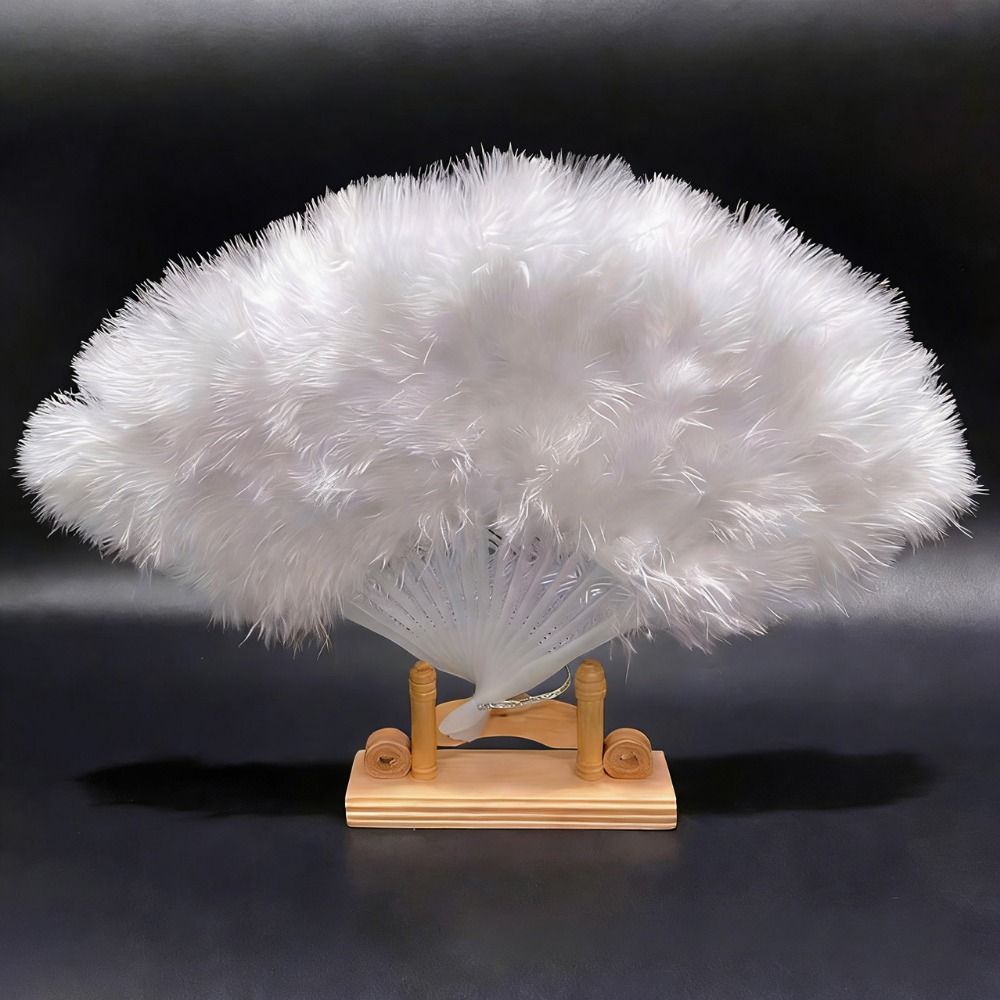 Elegant Vintage Hand Fan Lace  - Photography Vintage Style recension och pris