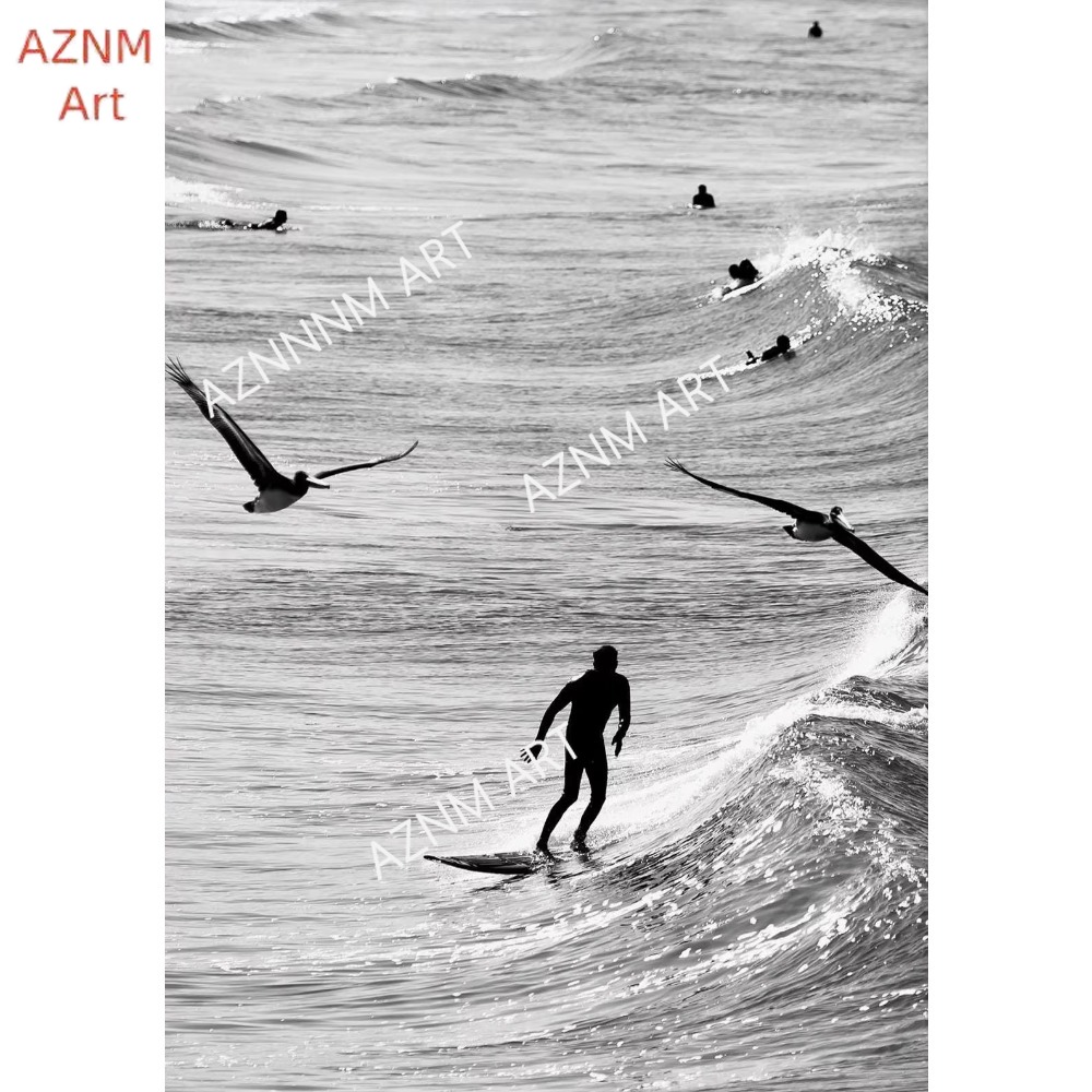 1PC ，Fine Surfing Black and Wh - Photography Class recension och pris