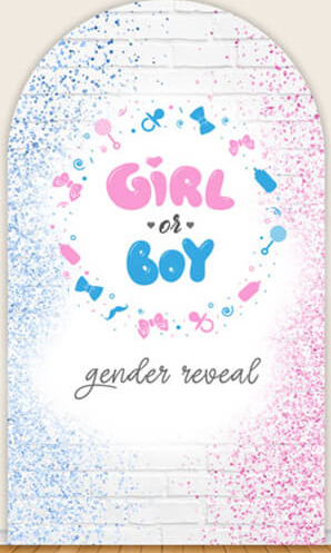 LS Gender Reveal Party Arch Co - Photography Questions recension och pris
