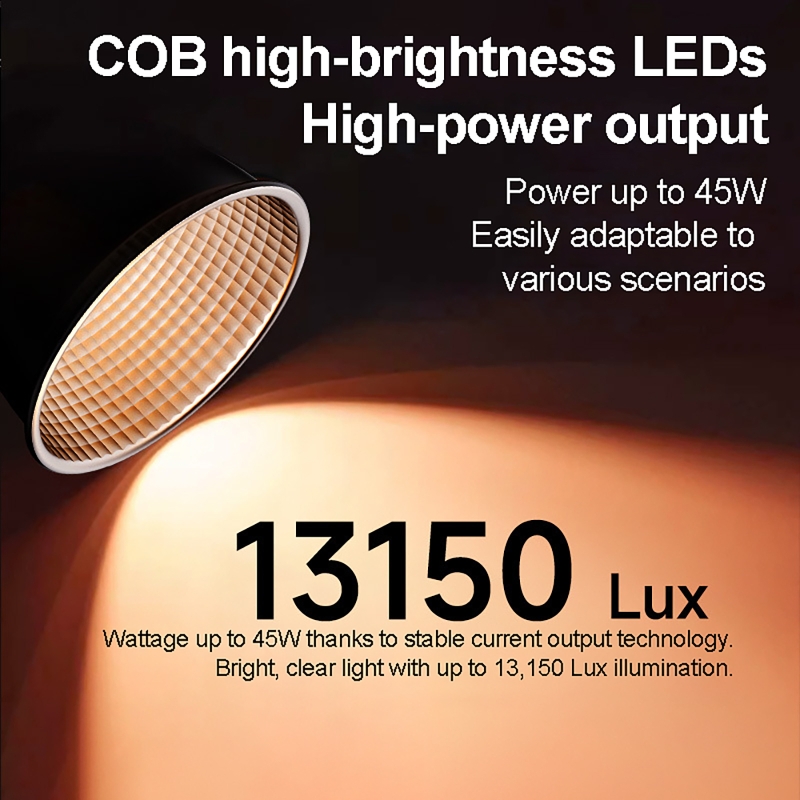 60W RGB Video Light Portable L - Photography Treatment recension och pris