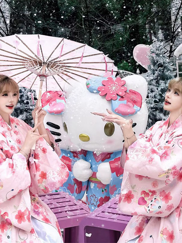 Traditional Japanese Kimono Ba - Photography Online recension och pris